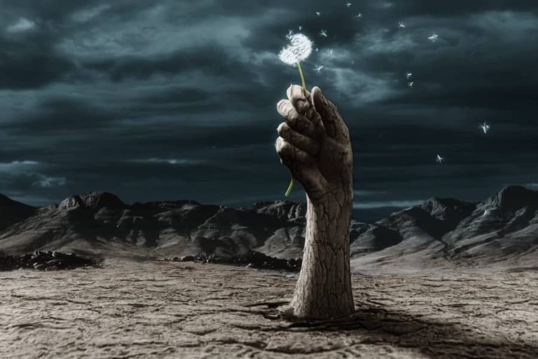 The Meaning Behind Biblical Dream Interpretation Car Accidents