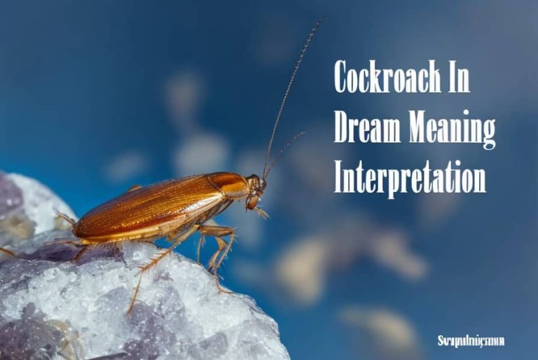 Exploring the Meaning Behind Cockroach Dreams